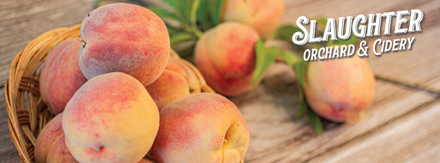 Peaches Promotion - Slaughter